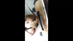Hard Edge Nicola Big Tits
