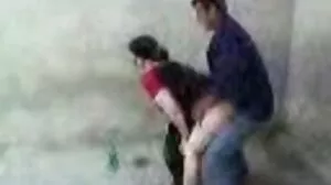 Δωρεάν ταινίες συλλογής